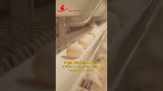 ফার্মরব | ভাঙ্গার হার সহ স্থিতিশীল ডিম সংগ্রহ 0.2% #poultryfarm #chicken #factoryproducts