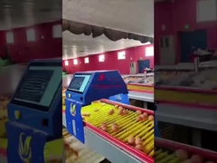 ফার্মরব ৯৯.৮% নির্ভুলতা ইন্টেলিজেন্ট ডিম কাউন্টার ২৫ ডাব্লু ২২০ ভোল্ট ৫০ এইচজেড আইএসও ৯০০১ অনুমোদিত