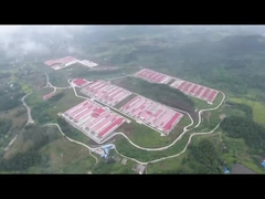 পোল্ট্রি ব্যাটারি খাঁচা সিস্টেম