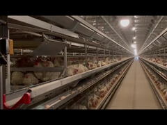 স্তর সিস্টেম