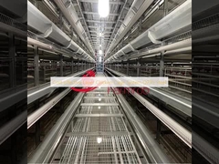 খরচ-সাশ্রয়ী লেয়ার মুরগি খাঁচা সিস্টেম Q235 ইস্পাত