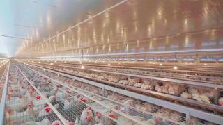 ব্যানার 1